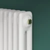 Keswick 600 X 605mm Cast Iron Style Traditional 2 Column White Radiator