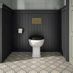 Trafalgar 2-Button Flush Plate - Antique Brass 6 Trafalgar 2-Button Flush Plate - Antique Brass -Victorian Plumbing Store tdvp 14561 59 btw toilet with black seat antique brass flush front