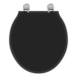 Ideal Standard Waverley Black Standard Toilet Seat & Cover